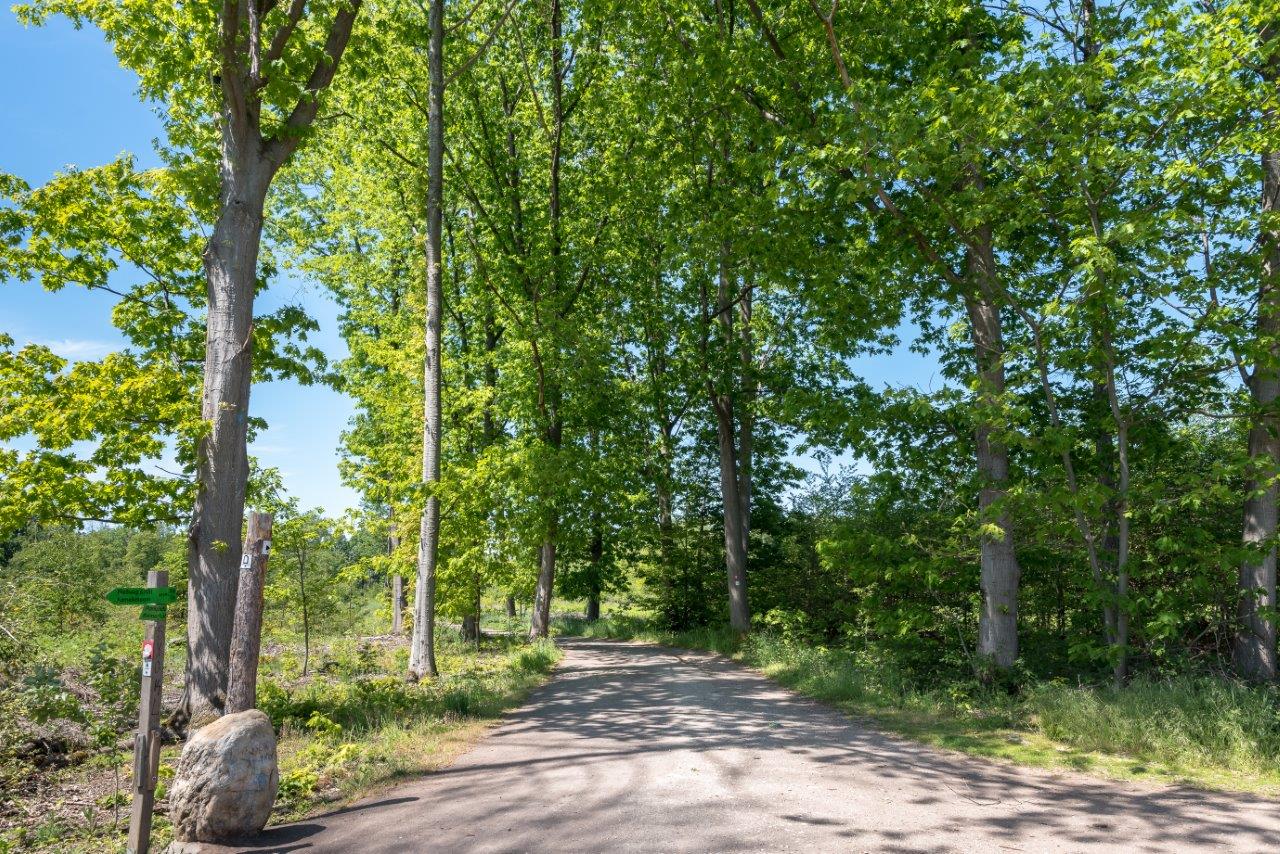 Bornheim/Alfter/Swisttal/ Cluster Kottenforst Nord Bornheim/Alfter/Swisttal/ Cluster Kottenforst Nord