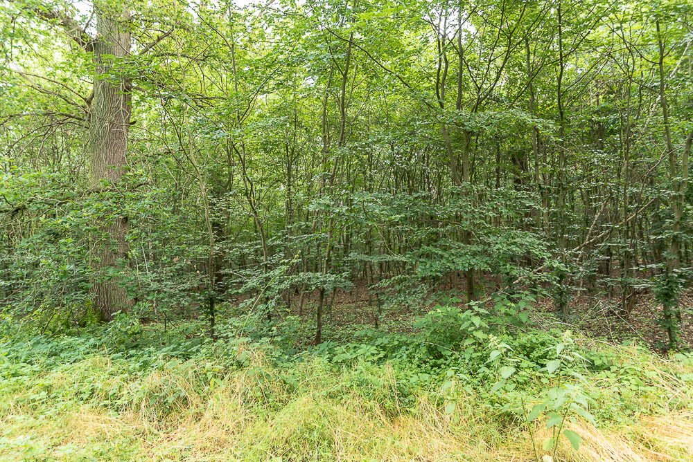 Wesel-Flürener Feld