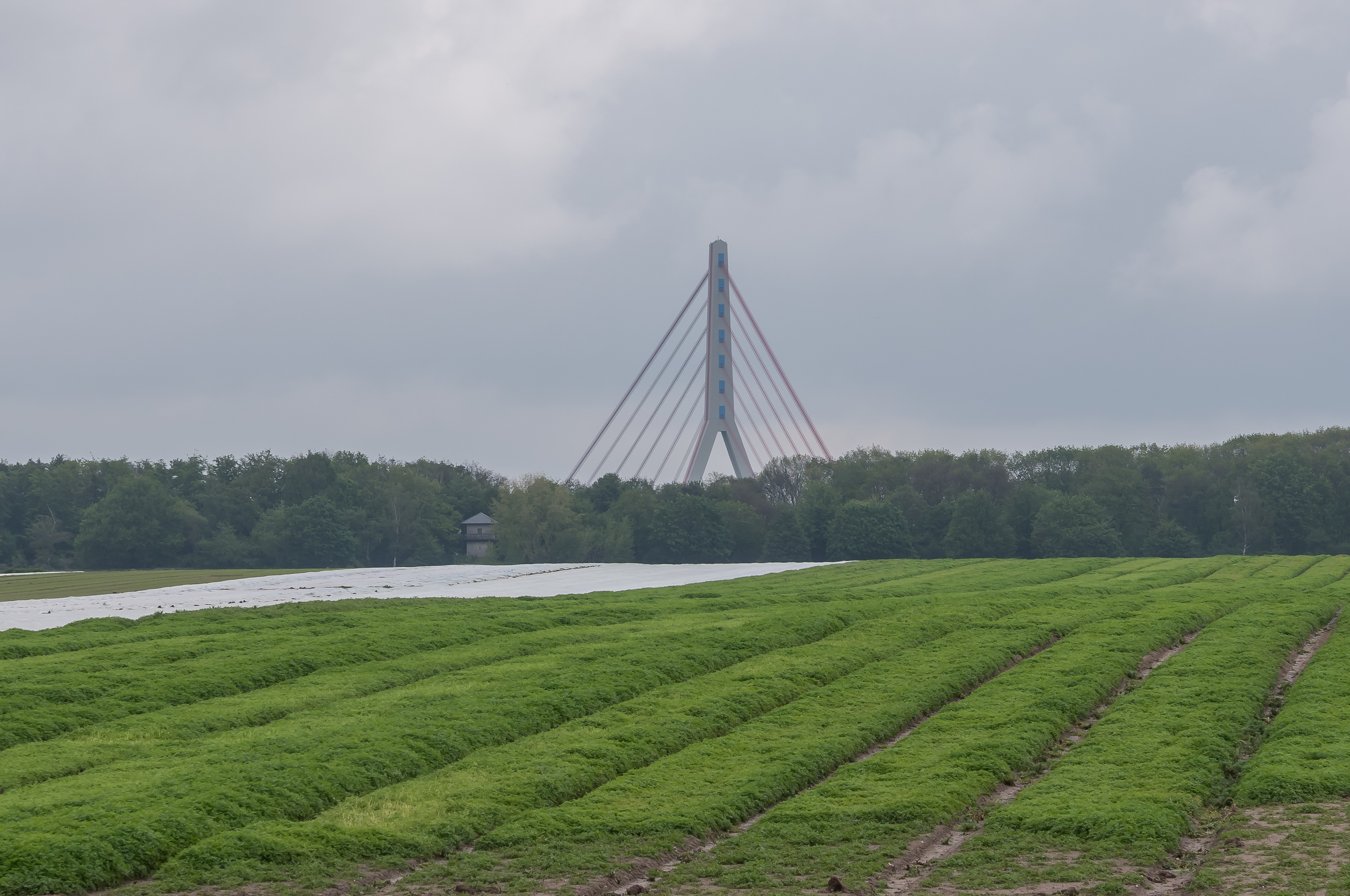 Neuss-Reckberg