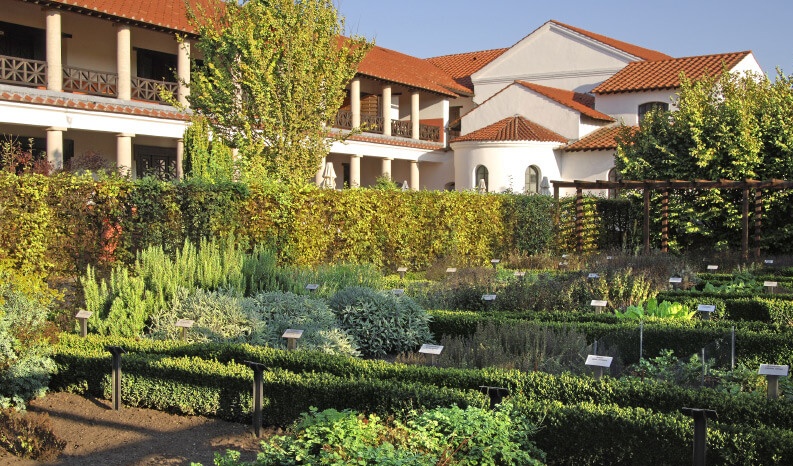 Mediterranean herbs in the garden of the Roman hostel in the LVR Archaeological Park Xanten