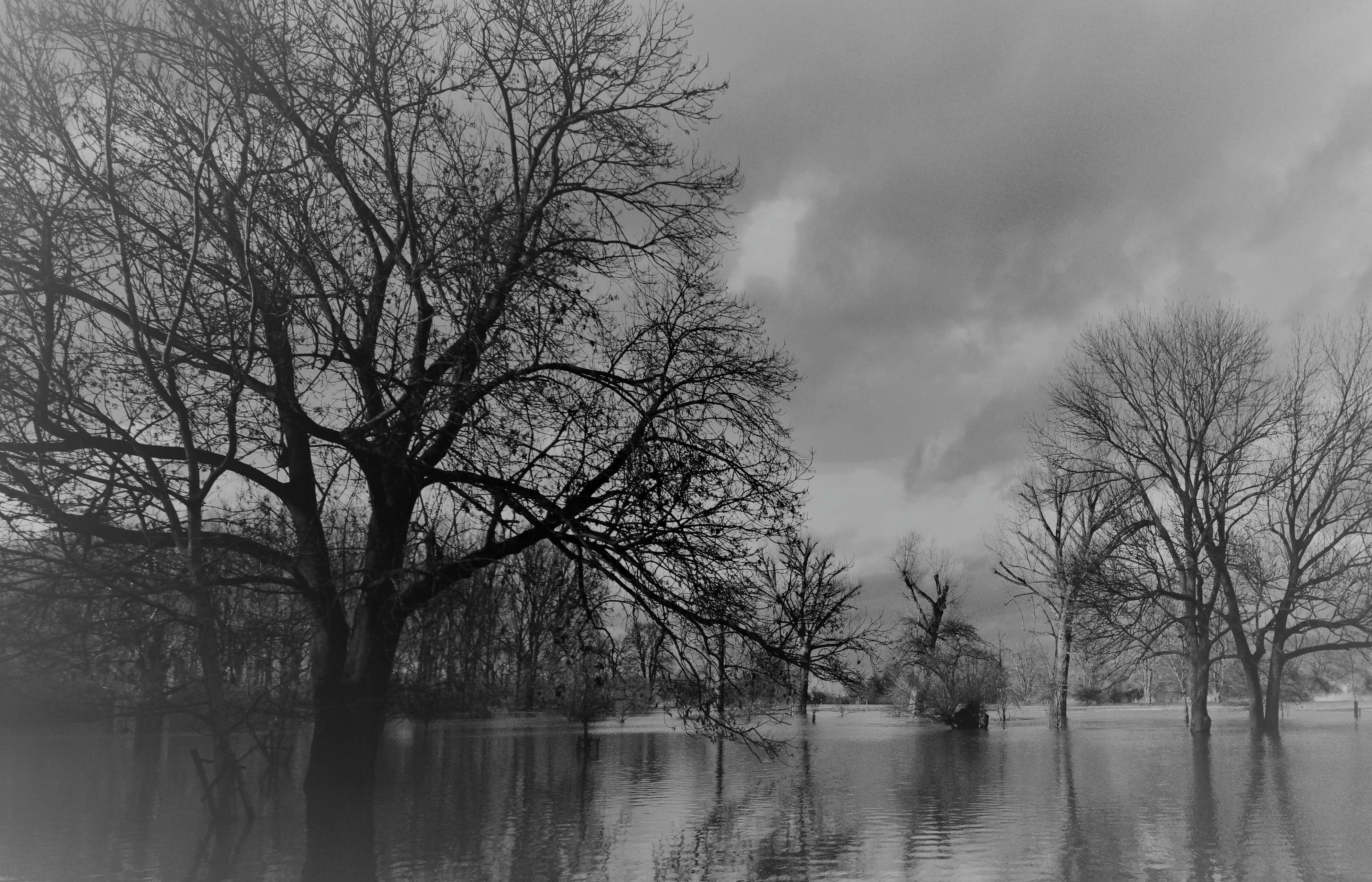 Eine Landschaft in Nordrhein-Westfalen bei trübem Wetter