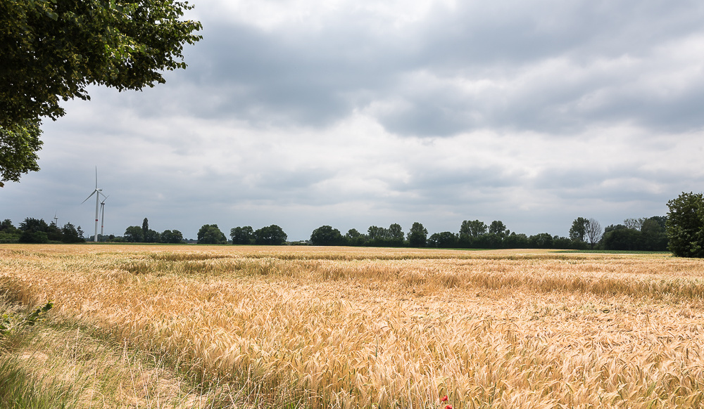 Panoramablick über das ehemalige Militärgelände