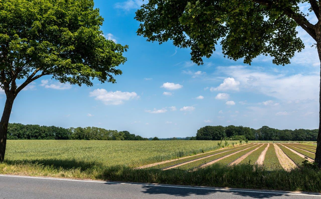 Der Radweg entlang der Fläche des Heiligtums bietet einen guten Eindruck vom Gelände.