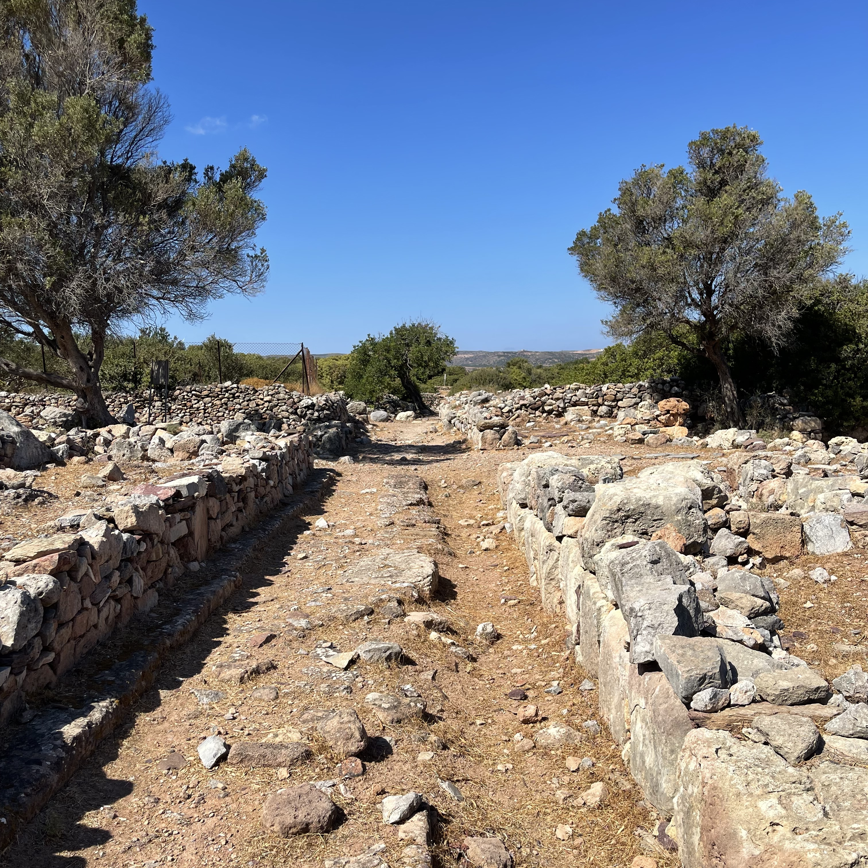 Wer hat‘s erfunden? Eine gepflasterte Straße in der bronzezeitlichen Siedlung Palaikastro auf Kreta