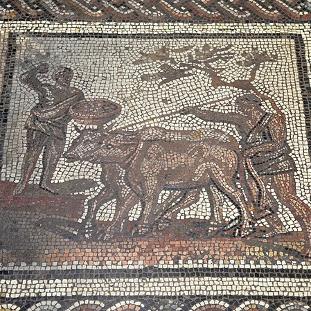 Mosaik mit Darstellung eines bäuerlichen Kalenders, Tafel zum Pflügen und Säen des Feldes (Herbst). Saint-Romain-en-Gal, erstes Viertel des 3. Jahrhunderts nach Christus, Musée d'Archéologie Nationale, Saint-Germain-en-Laye